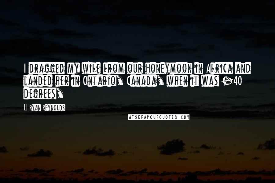 Ryan Reynolds Quotes: I dragged my wife from our honeymoon in Africa and landed her in Ontario, Canada, when it was -40 degrees,