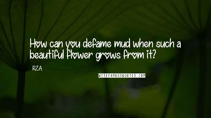 RZA Quotes: How can you defame mud when such a beautiful flower grows from it?