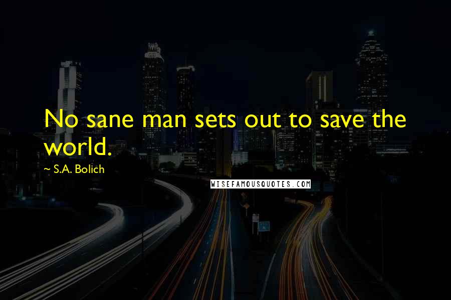 S.A. Bolich Quotes: No sane man sets out to save the world.