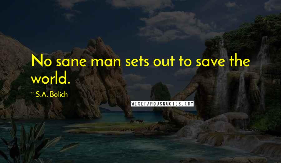 S.A. Bolich Quotes: No sane man sets out to save the world.