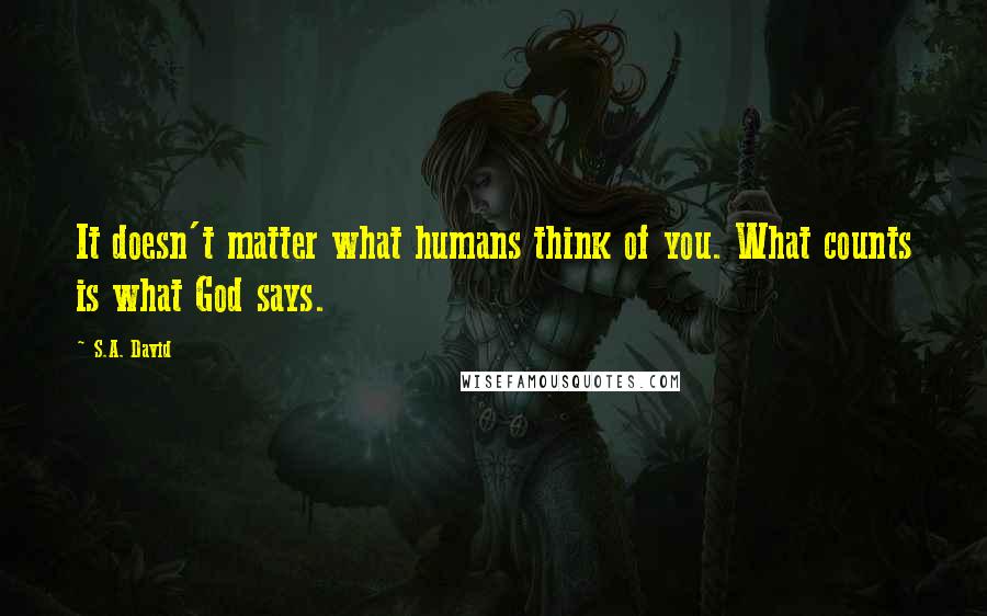 S.A. David Quotes: It doesn't matter what humans think of you. What counts is what God says.