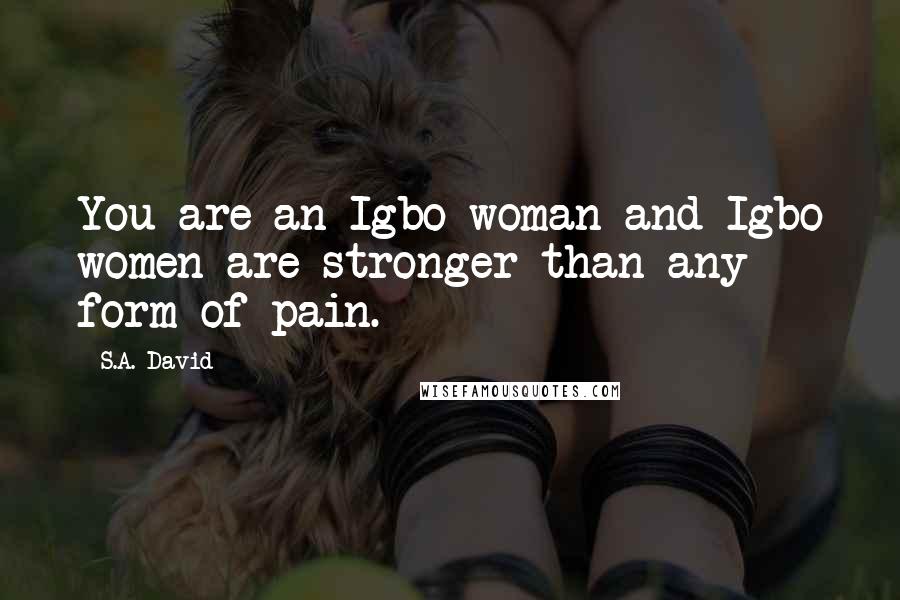 S.A. David Quotes: You are an Igbo woman and Igbo women are stronger than any form of pain.