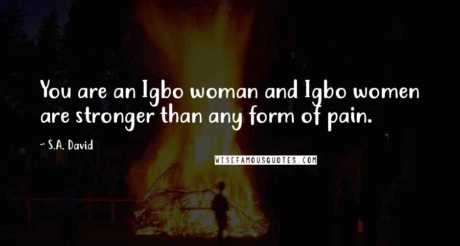 S.A. David Quotes: You are an Igbo woman and Igbo women are stronger than any form of pain.