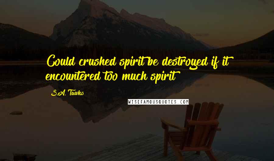 S.A. Tawks Quotes: Could crushed spirit be destroyed if it encountered too much spirit?