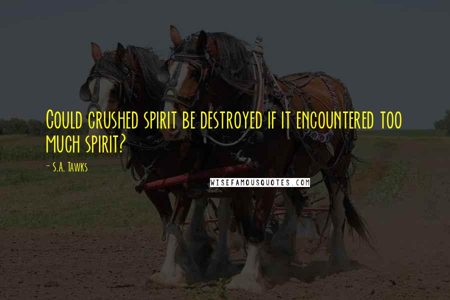 S.A. Tawks Quotes: Could crushed spirit be destroyed if it encountered too much spirit?