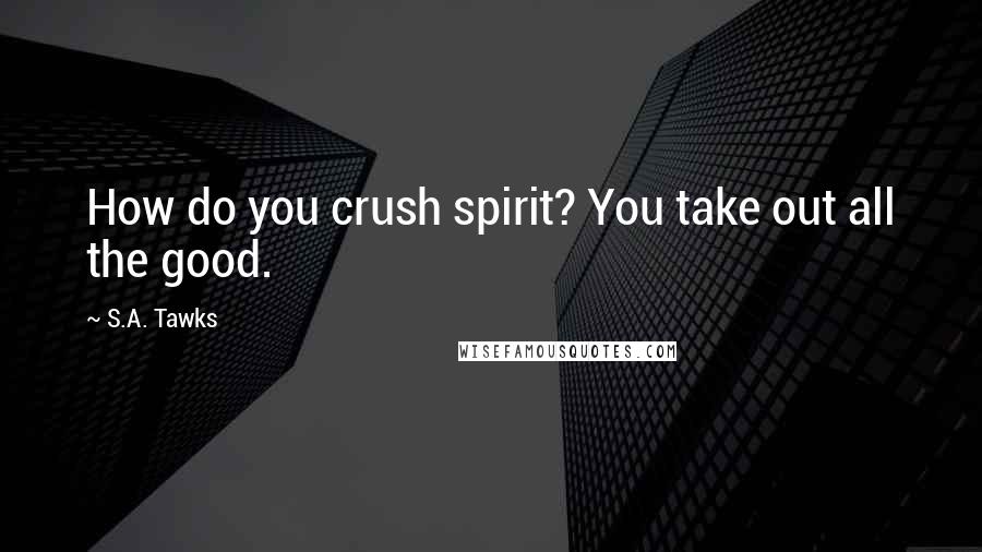 S.A. Tawks Quotes: How do you crush spirit? You take out all the good.