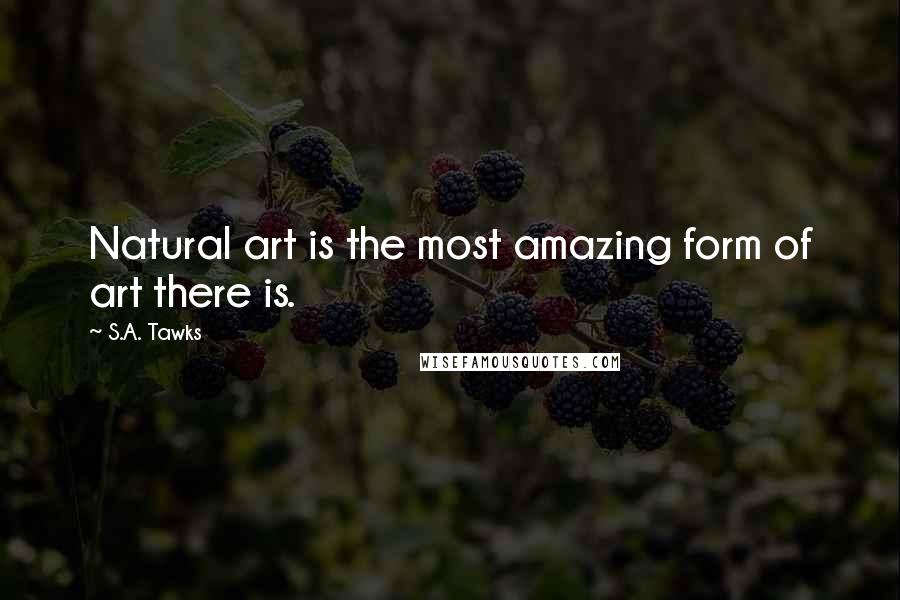 S.A. Tawks Quotes: Natural art is the most amazing form of art there is.