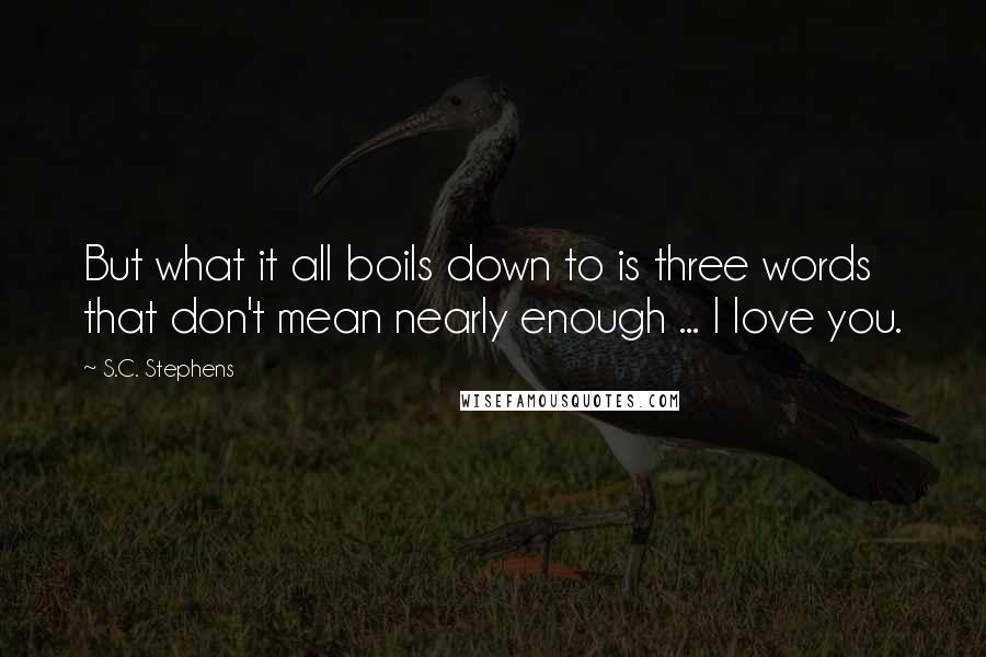 S.C. Stephens Quotes: But what it all boils down to is three words that don't mean nearly enough ... I love you.