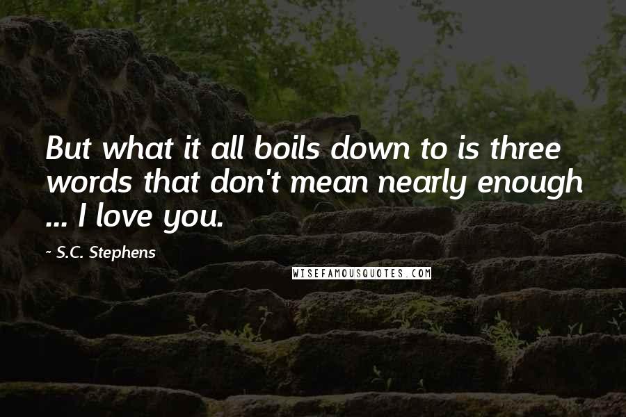 S.C. Stephens Quotes: But what it all boils down to is three words that don't mean nearly enough ... I love you.