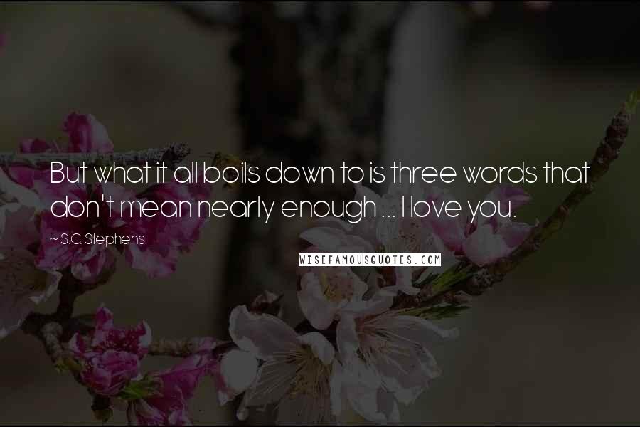 S.C. Stephens Quotes: But what it all boils down to is three words that don't mean nearly enough ... I love you.