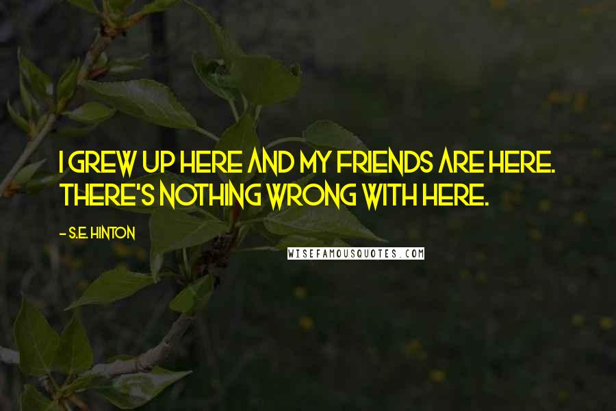 S.E. Hinton Quotes: I grew up here and my friends are here. There's nothing wrong with here.