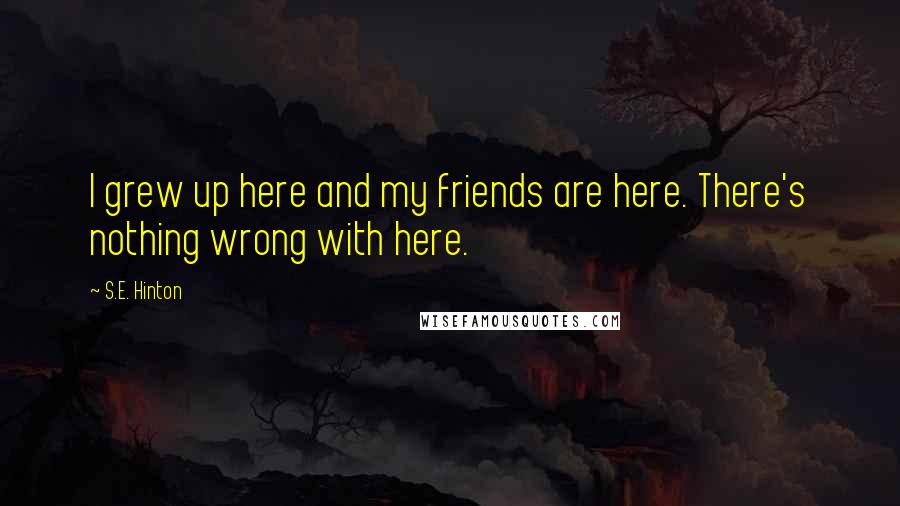 S.E. Hinton Quotes: I grew up here and my friends are here. There's nothing wrong with here.