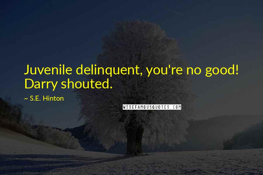 S.E. Hinton Quotes: Juvenile delinquent, you're no good! Darry shouted.