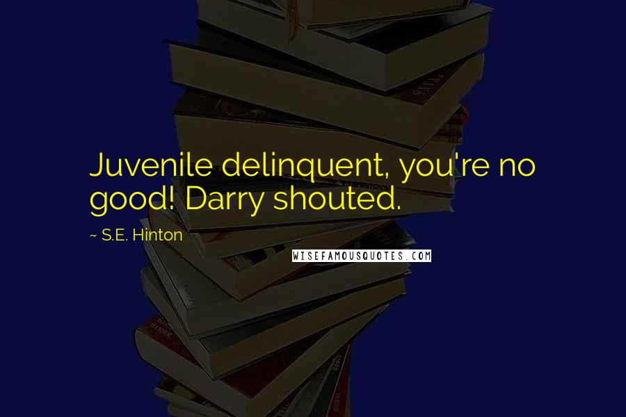 S.E. Hinton Quotes: Juvenile delinquent, you're no good! Darry shouted.