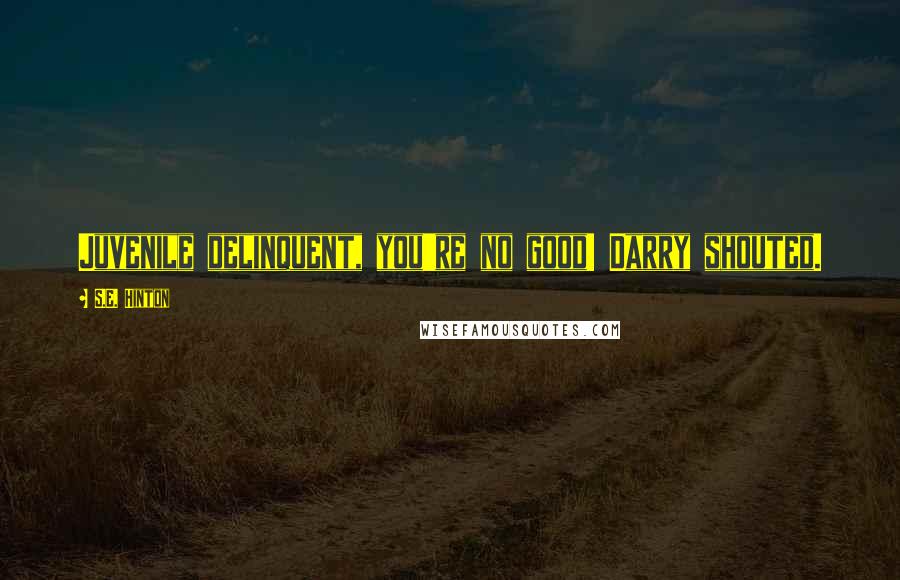 S.E. Hinton Quotes: Juvenile delinquent, you're no good! Darry shouted.