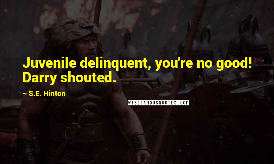 S.E. Hinton Quotes: Juvenile delinquent, you're no good! Darry shouted.