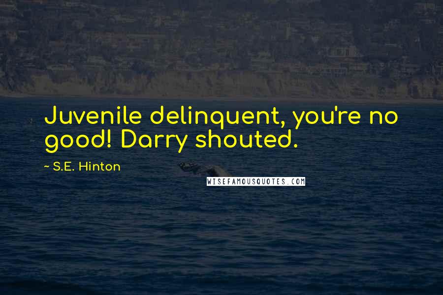 S.E. Hinton Quotes: Juvenile delinquent, you're no good! Darry shouted.