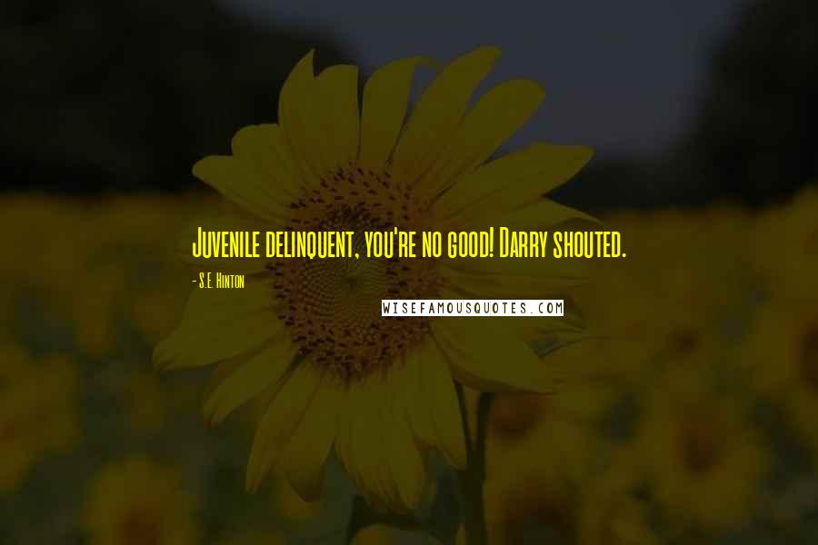 S.E. Hinton Quotes: Juvenile delinquent, you're no good! Darry shouted.