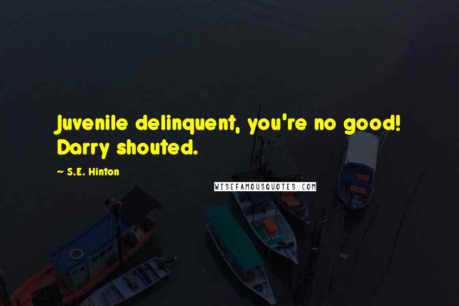 S.E. Hinton Quotes: Juvenile delinquent, you're no good! Darry shouted.