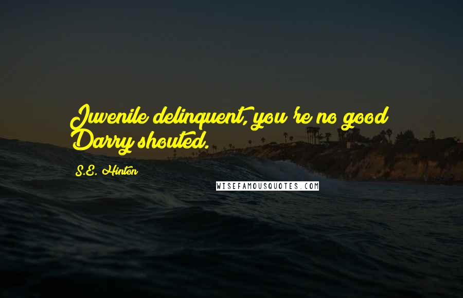 S.E. Hinton Quotes: Juvenile delinquent, you're no good! Darry shouted.