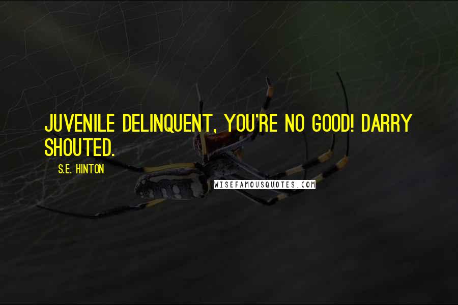 S.E. Hinton Quotes: Juvenile delinquent, you're no good! Darry shouted.