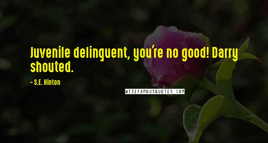 S.E. Hinton Quotes: Juvenile delinquent, you're no good! Darry shouted.