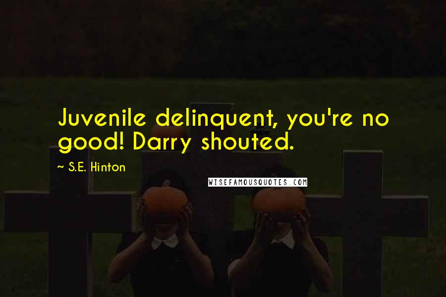 S.E. Hinton Quotes: Juvenile delinquent, you're no good! Darry shouted.