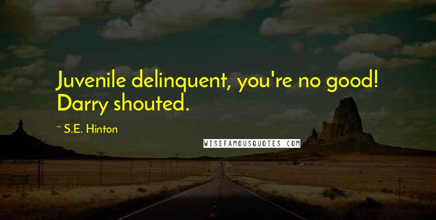 S.E. Hinton Quotes: Juvenile delinquent, you're no good! Darry shouted.