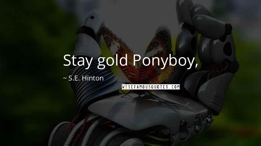 S.E. Hinton Quotes: Stay gold Ponyboy,