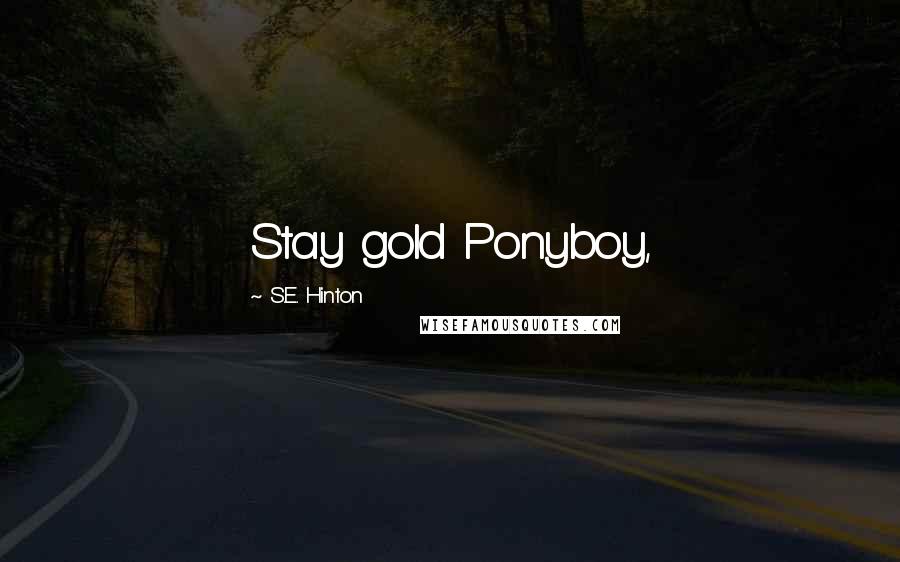 S.E. Hinton Quotes: Stay gold Ponyboy,