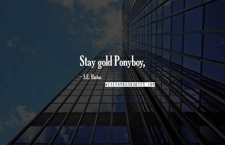 S.E. Hinton Quotes: Stay gold Ponyboy,