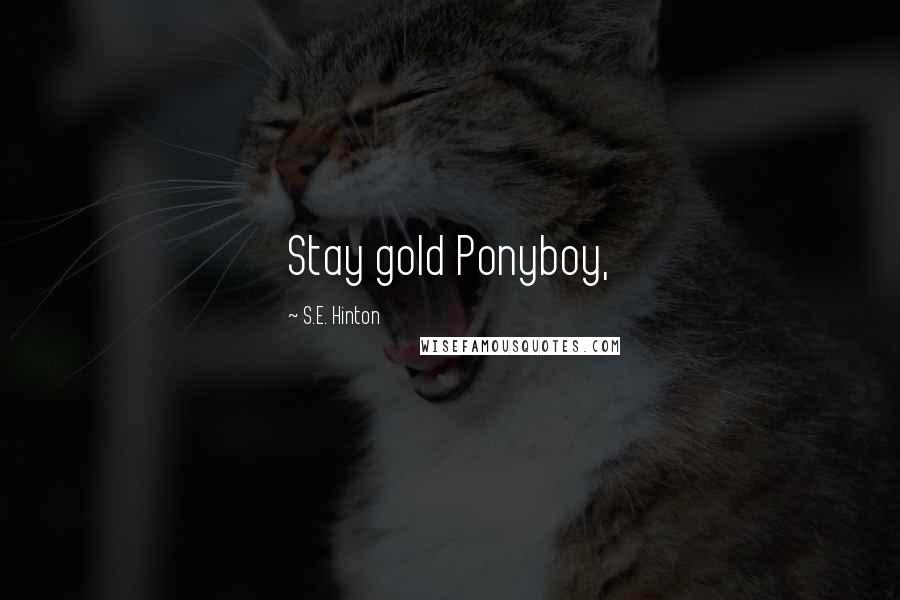 S.E. Hinton Quotes: Stay gold Ponyboy,