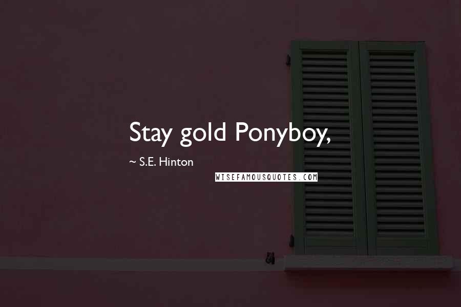 S.E. Hinton Quotes: Stay gold Ponyboy,