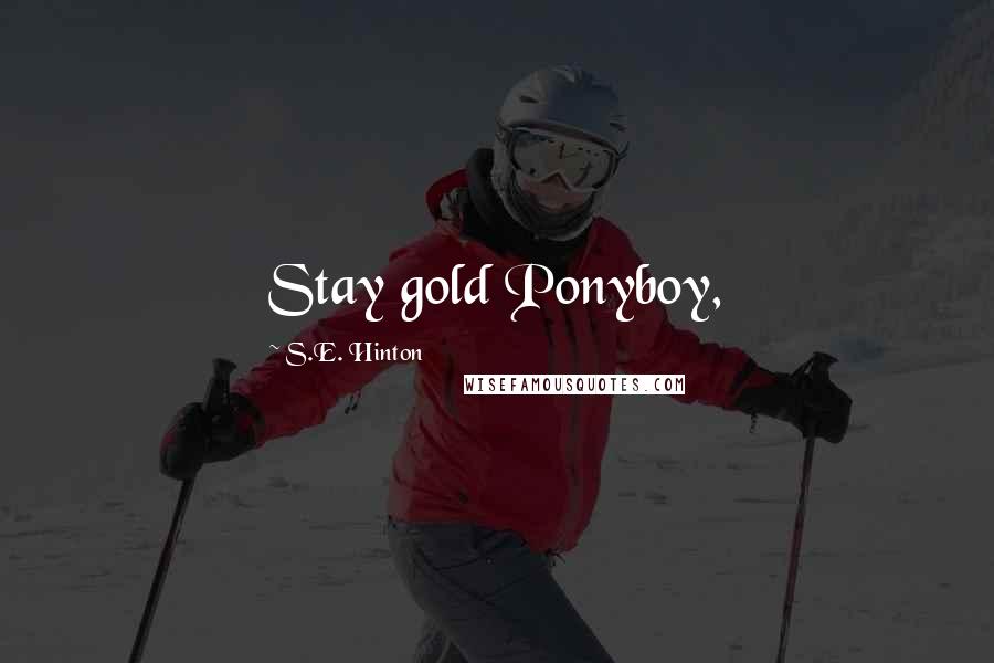 S.E. Hinton Quotes: Stay gold Ponyboy,