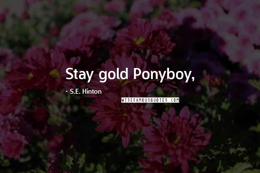 S.E. Hinton Quotes: Stay gold Ponyboy,