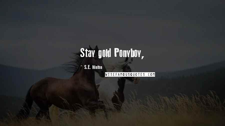 S.E. Hinton Quotes: Stay gold Ponyboy,