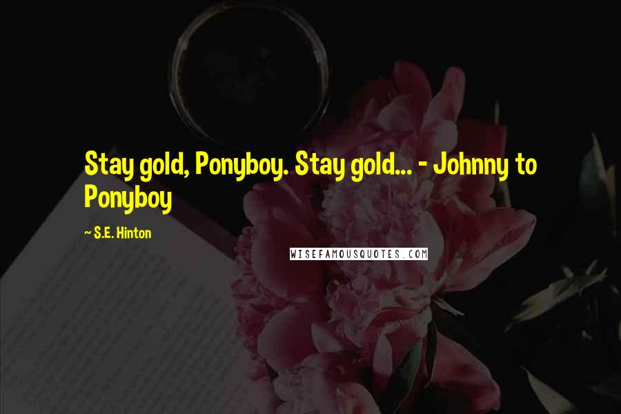 S.E. Hinton Quotes: Stay gold, Ponyboy. Stay gold... - Johnny to Ponyboy