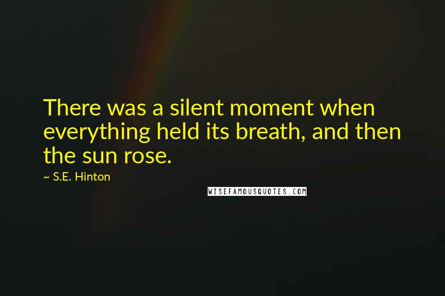 S.E. Hinton Quotes: There was a silent moment when everything held its breath, and then the sun rose.