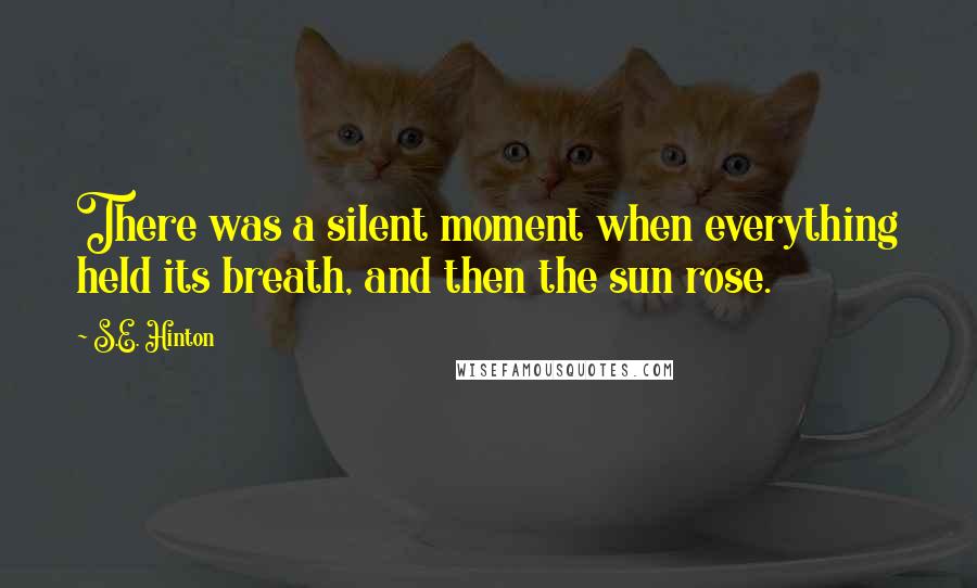 S.E. Hinton Quotes: There was a silent moment when everything held its breath, and then the sun rose.