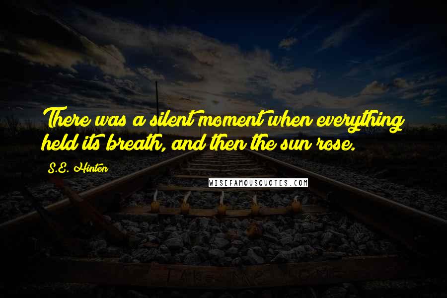 S.E. Hinton Quotes: There was a silent moment when everything held its breath, and then the sun rose.