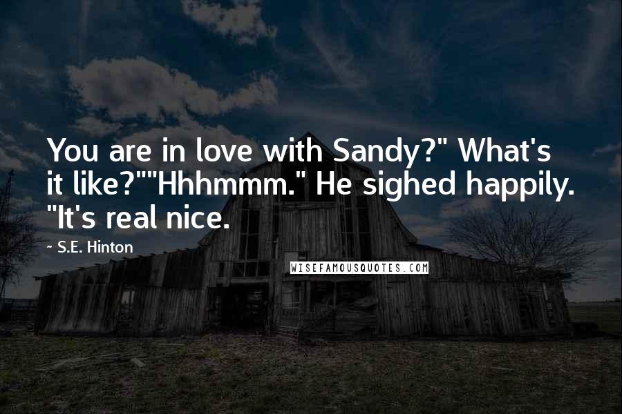 S.E. Hinton Quotes: You are in love with Sandy?" What's it like?""Hhhmmm." He sighed happily. "It's real nice.