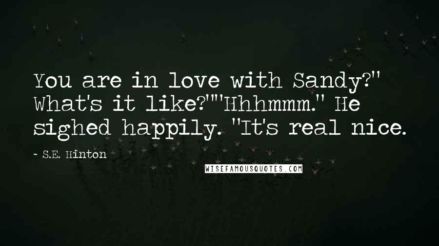 S.E. Hinton Quotes: You are in love with Sandy?" What's it like?""Hhhmmm." He sighed happily. "It's real nice.