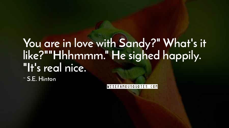 S.E. Hinton Quotes: You are in love with Sandy?" What's it like?""Hhhmmm." He sighed happily. "It's real nice.