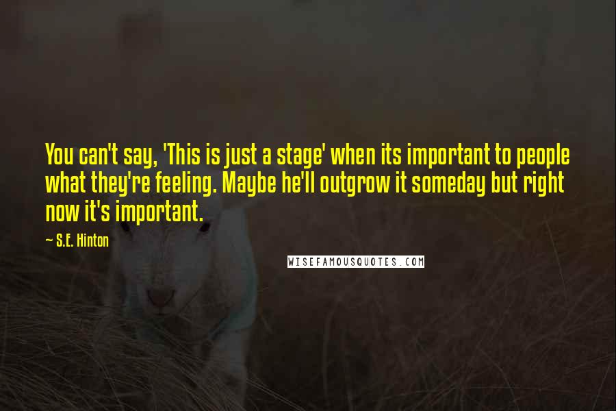 S.E. Hinton Quotes: You can't say, 'This is just a stage' when its important to people what they're feeling. Maybe he'll outgrow it someday but right now it's important.