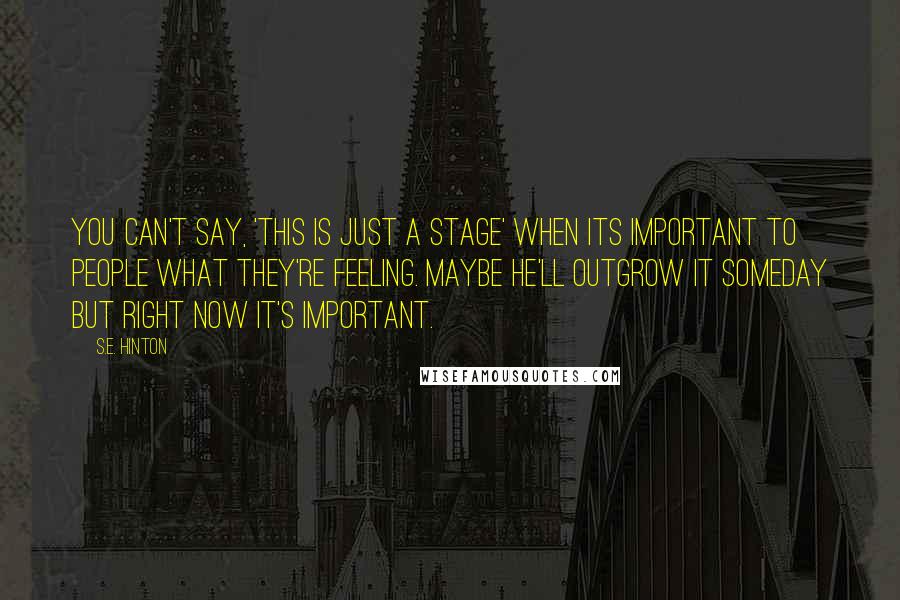 S.E. Hinton Quotes: You can't say, 'This is just a stage' when its important to people what they're feeling. Maybe he'll outgrow it someday but right now it's important.