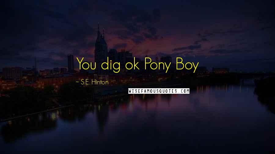 S.E. Hinton Quotes: You dig ok Pony Boy