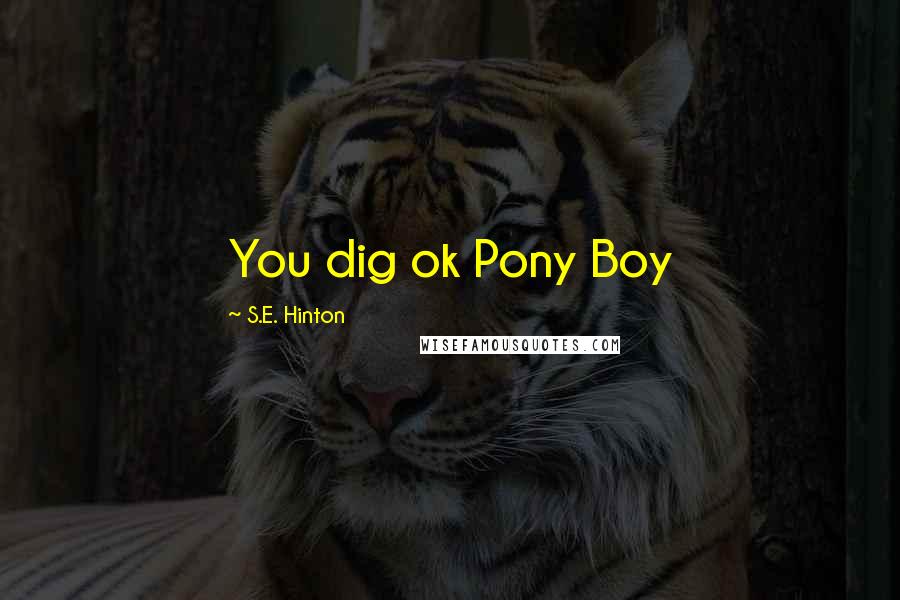 S.E. Hinton Quotes: You dig ok Pony Boy