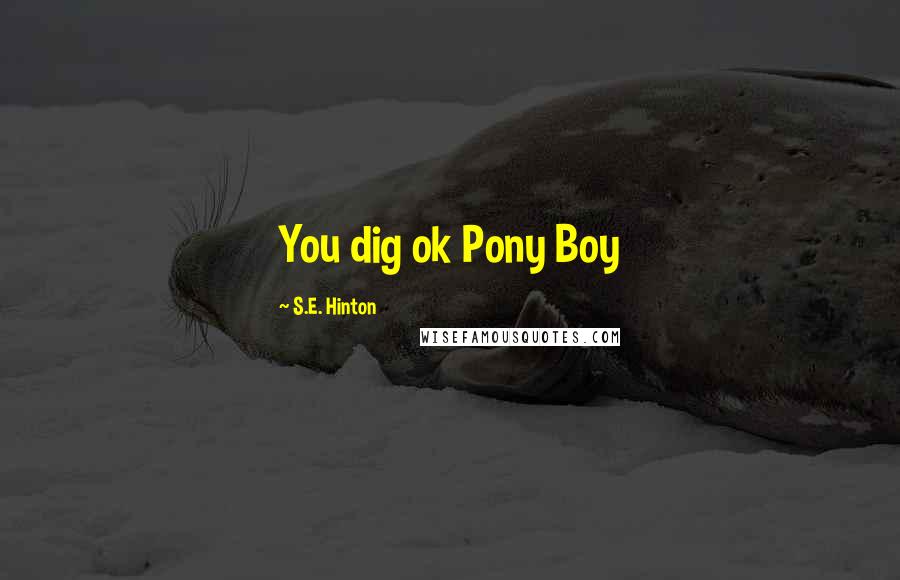 S.E. Hinton Quotes: You dig ok Pony Boy