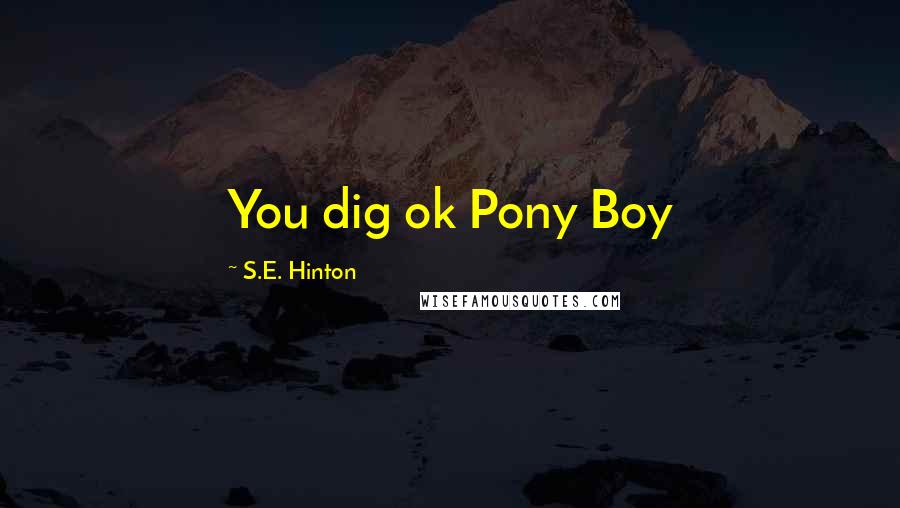 S.E. Hinton Quotes: You dig ok Pony Boy