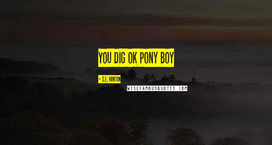 S.E. Hinton Quotes: You dig ok Pony Boy